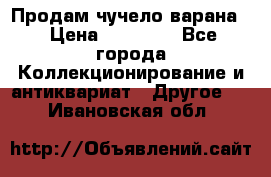 Продам чучело варана. › Цена ­ 15 000 - Все города Коллекционирование и антиквариат » Другое   . Ивановская обл.